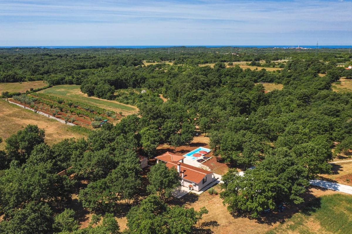 Villa Martinetinka 보드냔 외부 사진